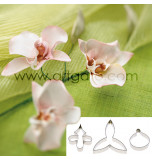 SUGAR FLOWER CUTTERS | Orchid - Moth Orchid (Phalaenopsis), 3 Cutters - Tinplate