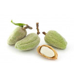 Amandes amères