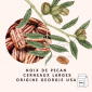 PECANS | Raw, Halves, Mammoth Size, Georgia - 1 Kg