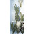 H - Elongated Cactus  1part , 54 x 23 cm