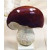 A -Bolet Mushroom, 22 x 19 cm