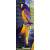 F -Parrot, 105 x 21 cm