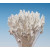 Stamens | Dull Pointed head WHITE – Bundle of 288 Heads
