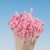 Stamens | Small dull Pointed head PINK w/ white stem – Bundle of 288 Heads