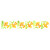 Stencil, DAFFODIL Border, Large Size